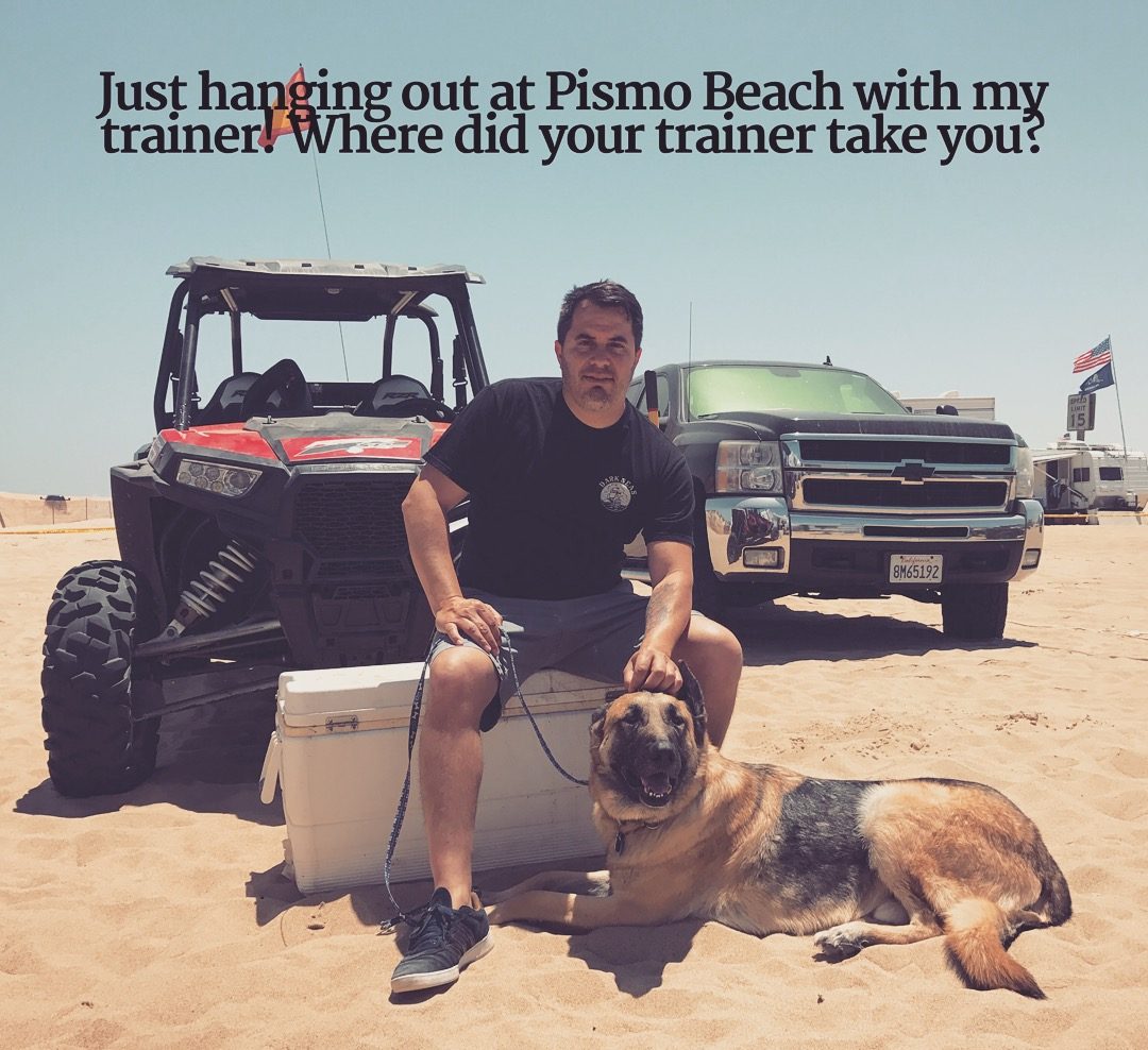 Los Angeles Dog Trainer Jeremy Talamantes